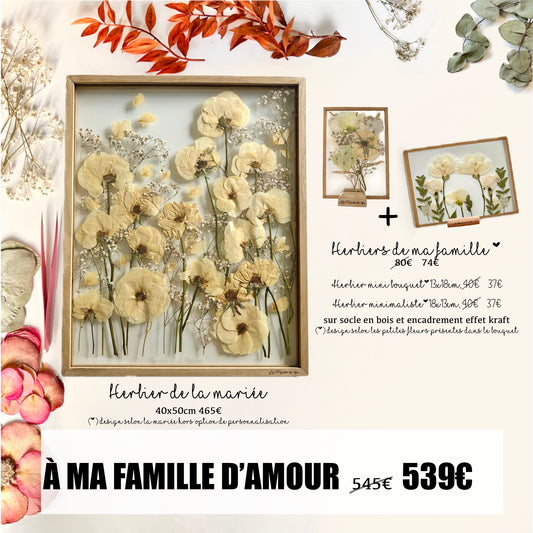 À ma famille d’amour