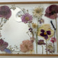 Miroir Bucolique n°023
