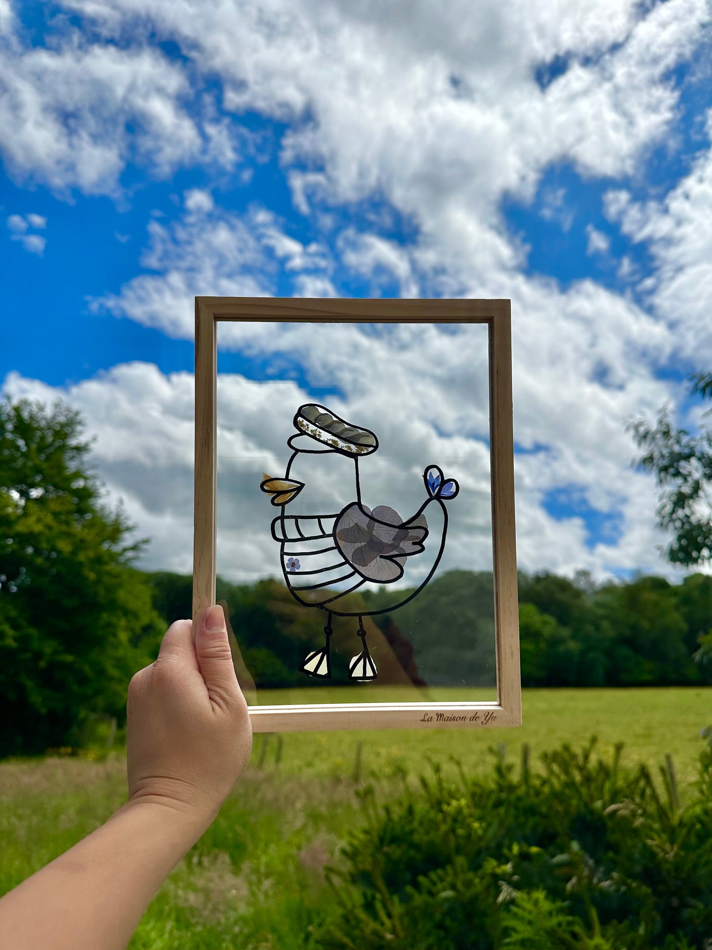 #Herbier Mouette