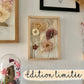 Transparent herbarium - My garden n°118