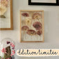 Transparent herbarium - My garden n°118