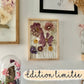 Transparent herbarium - My garden n°118